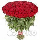 Розы купить на Зозу.ру - фотография № 1