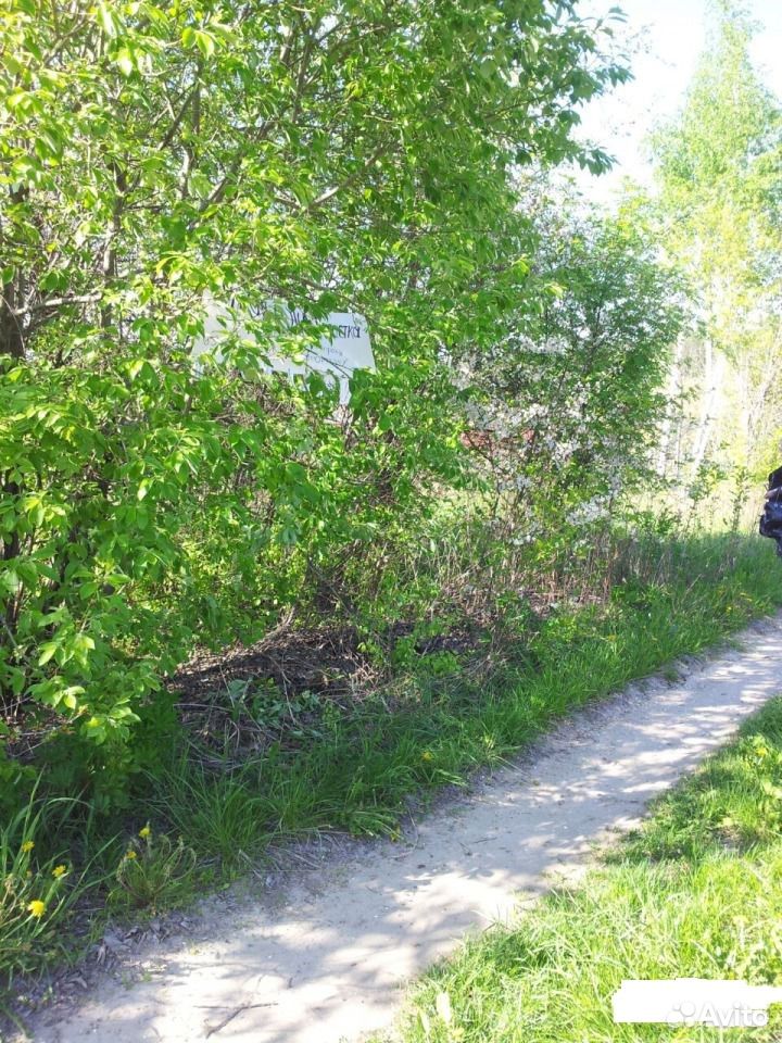 Тюшево. Ст яблонька в агро пустынь. Рязанская земля. Ижс рязань. Шестой участок рязань железнодорожный.