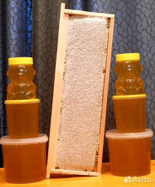 Вкусный Мёд прямо из лесной пасеки купить на Зозу.ру - фотография № 1