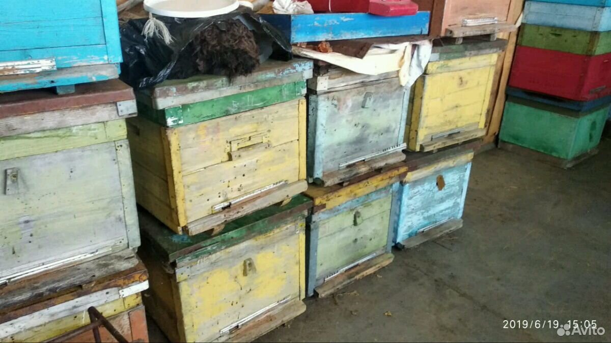 Продаю б/у улья с пчелами и без пчёл купить на Зозу.ру - фотография № 2