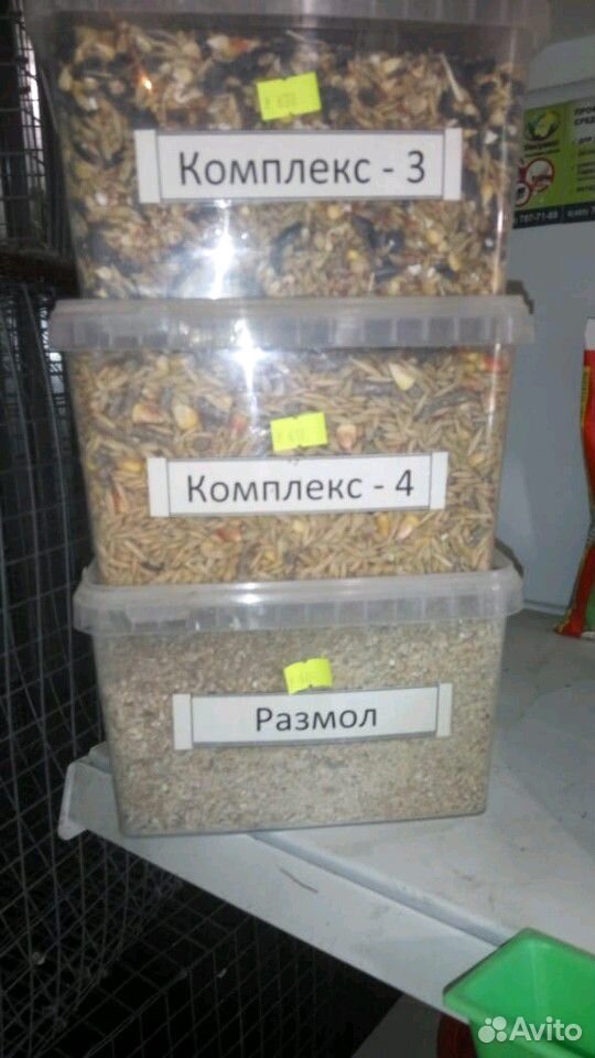 Зерно-смеси купить на Зозу.ру - фотография № 6