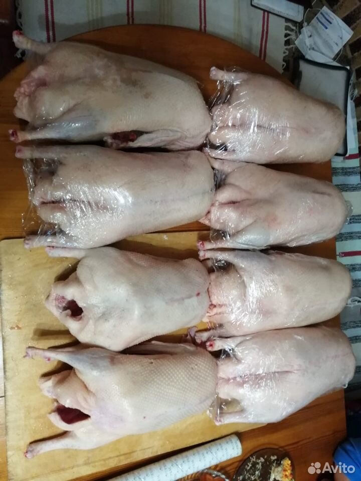 Мясо гусей, соленые гуси купить на Зозу.ру - фотография № 5