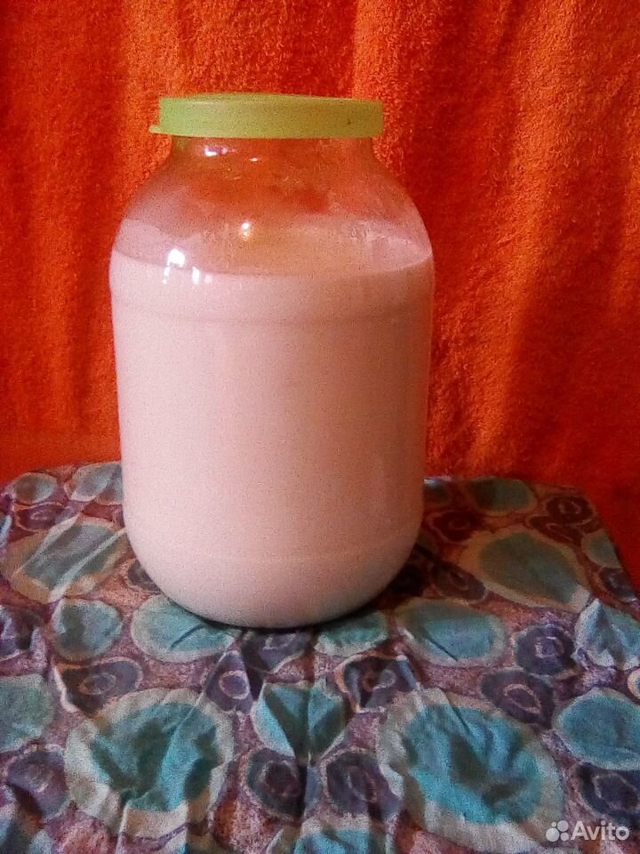 Молоко и сыры купить на Зозу.ру - фотография № 1