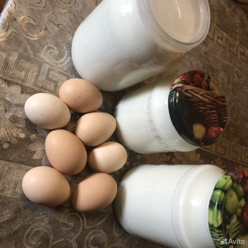 Молоко козье, яйца домашние купить на Зозу.ру - фотография № 3