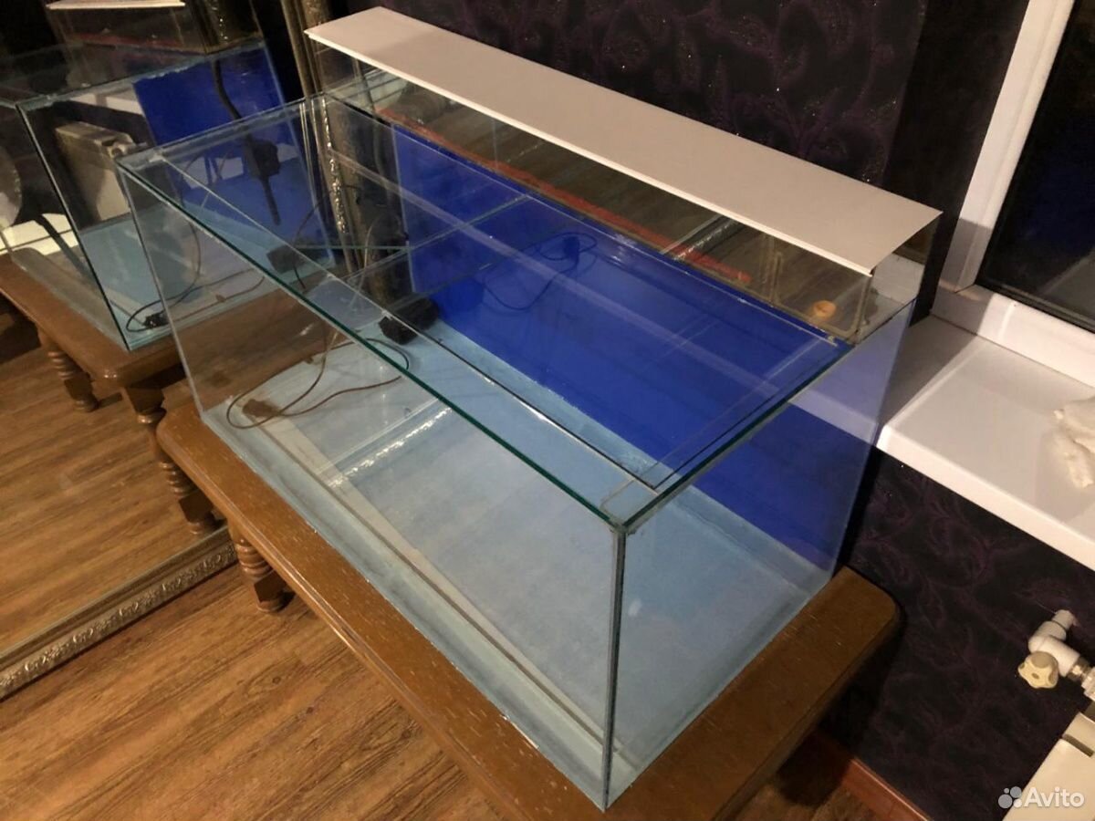 Аквариум и аквариумные рыбки купить на Зозу.ру - фотография № 3