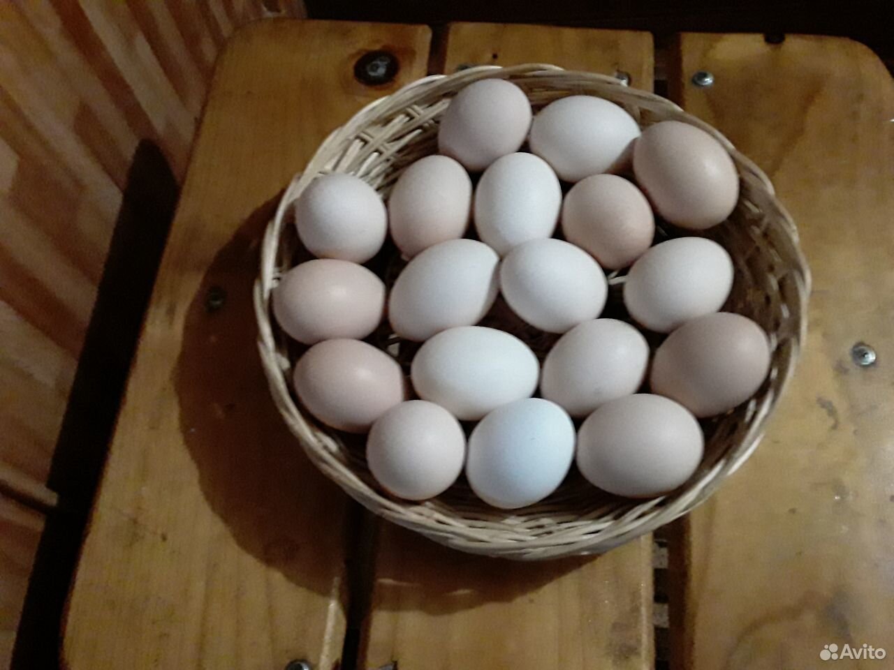 Яйцо куринное купить на Зозу.ру - фотография № 1