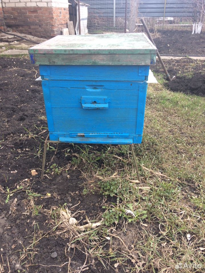 Пчелосемьи с ульями купить на Зозу.ру - фотография № 3