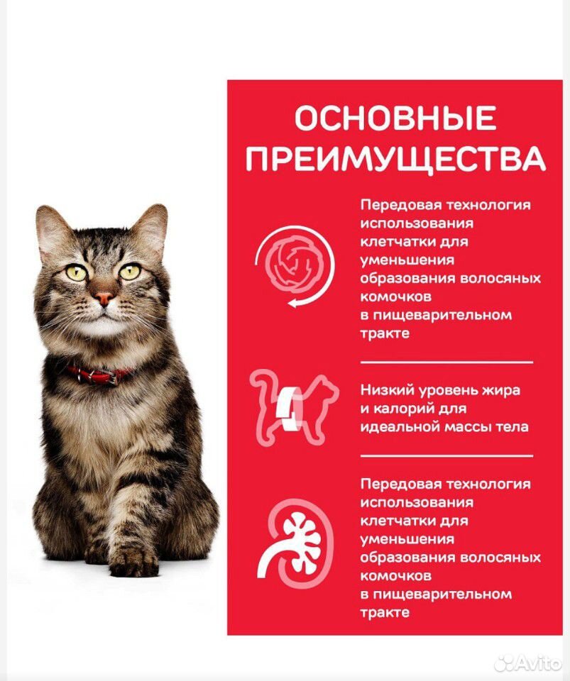 Сухой корм Hill’s Science Plan для кошек 7+, 1,5кг купить на Зозу.ру - фотография № 3