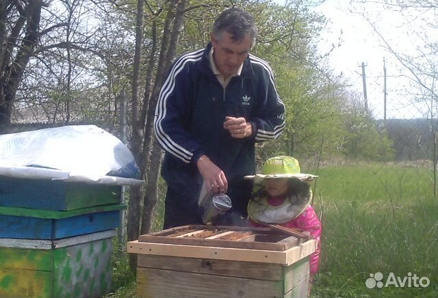 Пчелопакет купить на Зозу.ру - фотография № 1