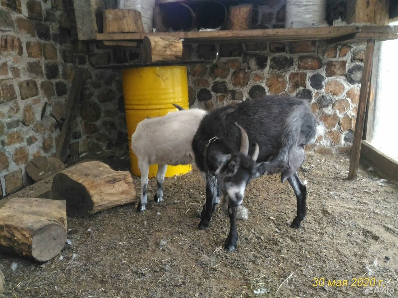 Пуховая коза с козленком купить на Зозу.ру - фотография № 1
