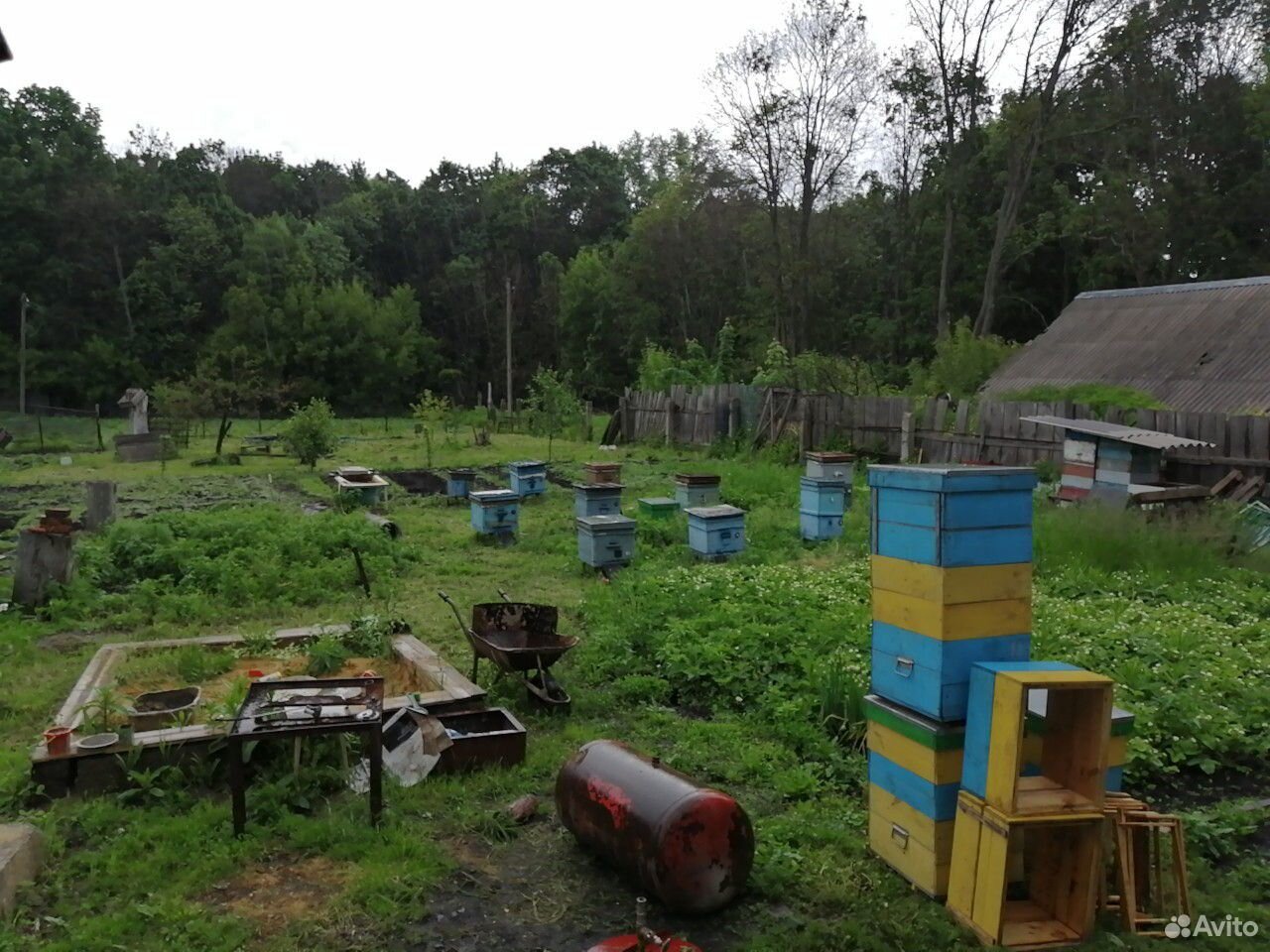 Улей с пчелами. Пчелосемьи. Отводки купить на Зозу.ру - фотография № 1