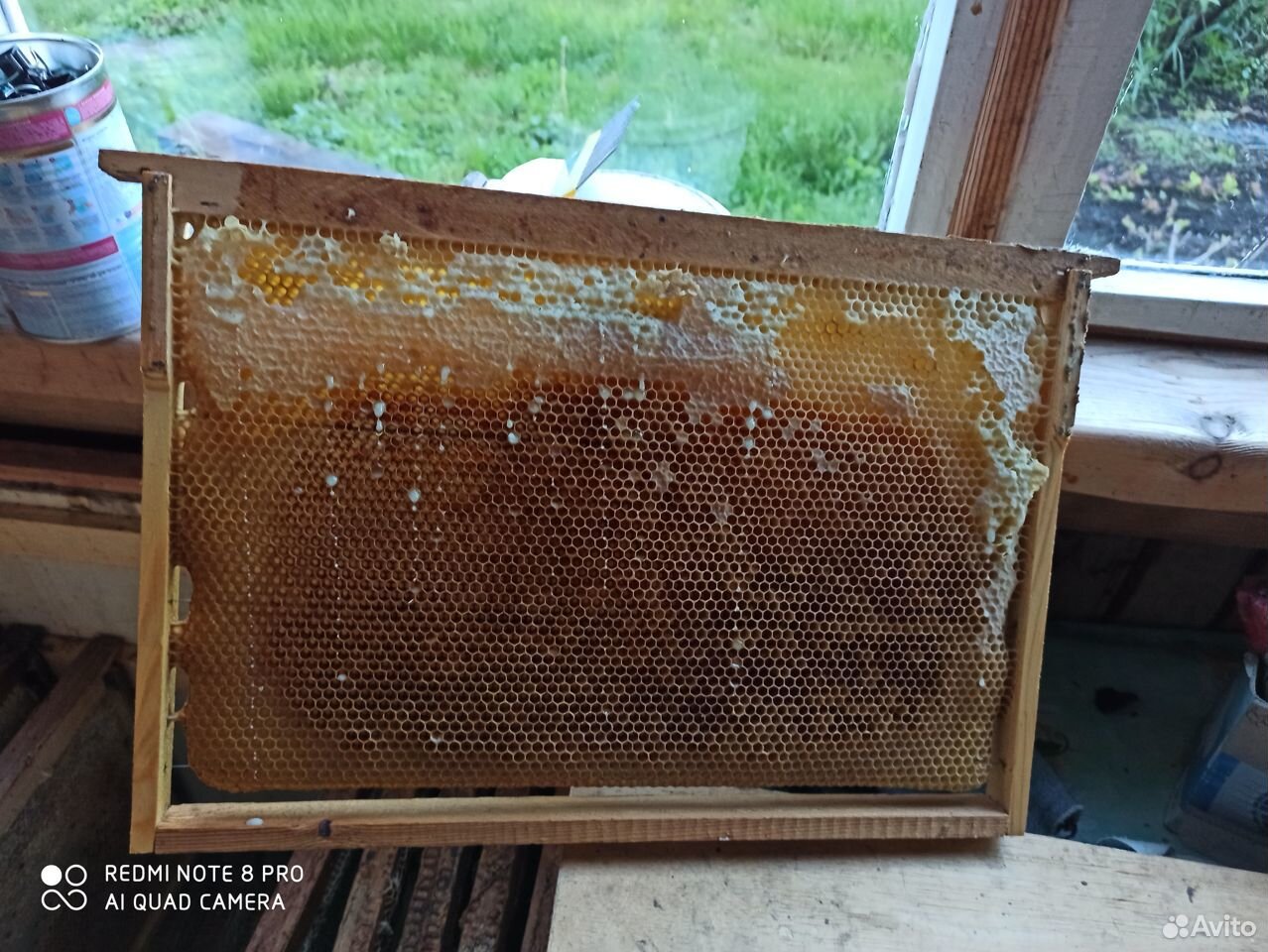 Рамки для пчел суш, рамки с медом купить на Зозу.ру - фотография № 4