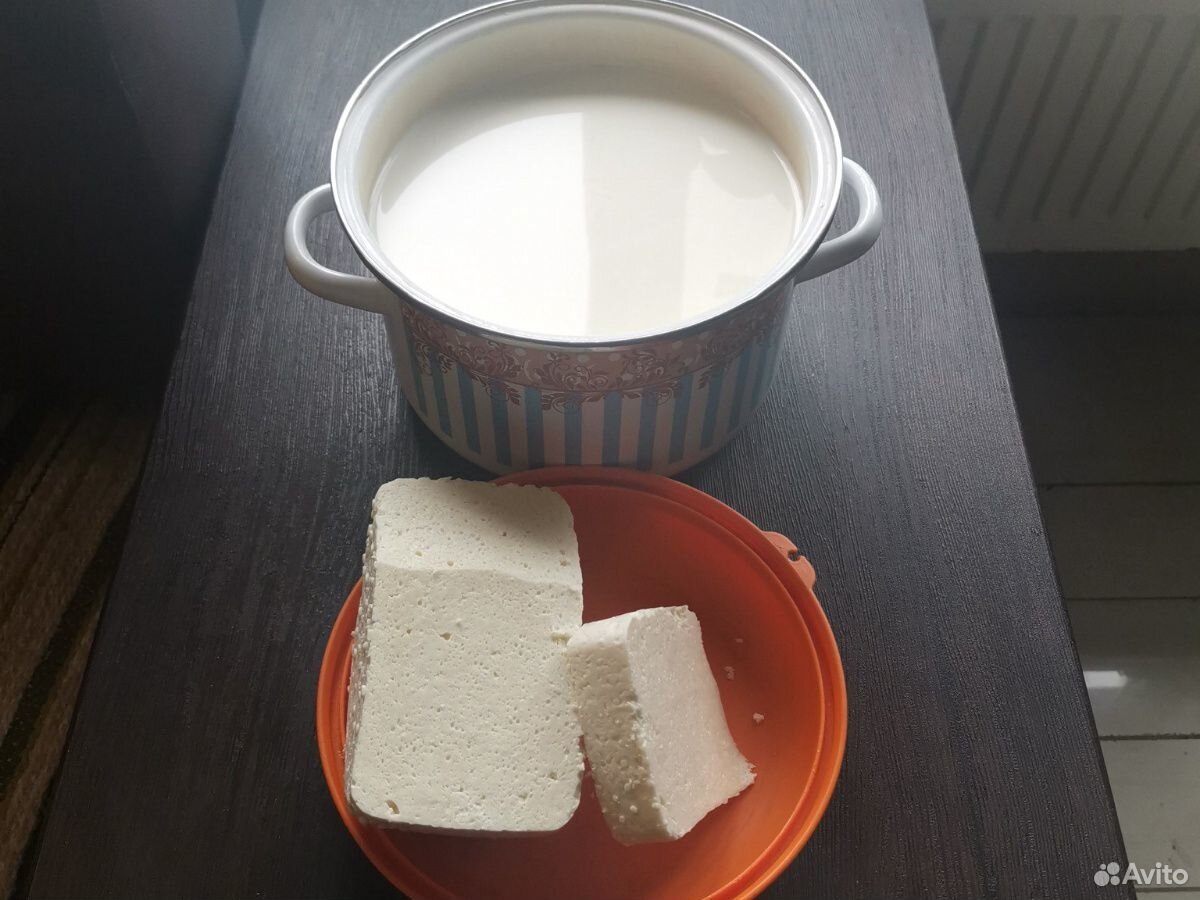 Молоко козье и сыр купить на Зозу.ру - фотография № 4