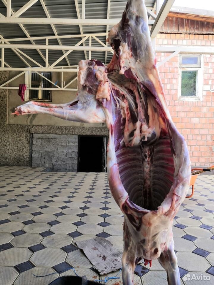 Мясо баранины купить на Зозу.ру - фотография № 3