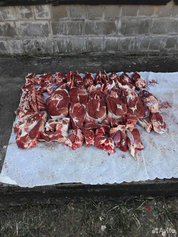 Мясо говядина и телятина купить на Зозу.ру - фотография № 2