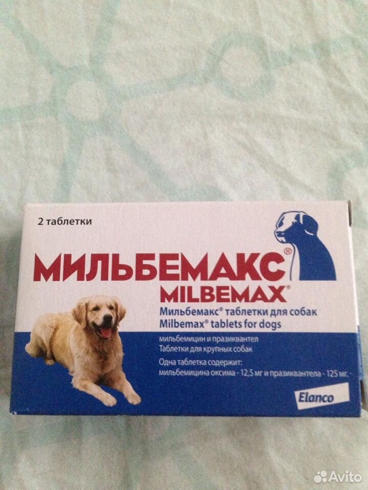 Таблетки для собак купить на Зозу.ру - фотография № 2