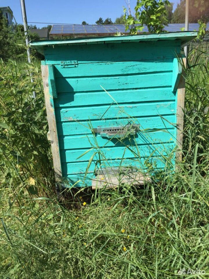 Улей полный набор для пчеловода купить на Зозу.ру - фотография № 2