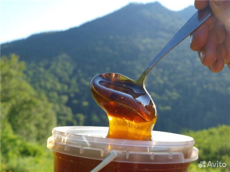 Мёд из молочая купить на Зозу.ру - фотография № 1
