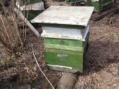 Ульи с пчелами на 10, 12 и 16 рамок