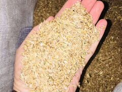 Зерноотходы пшеничные