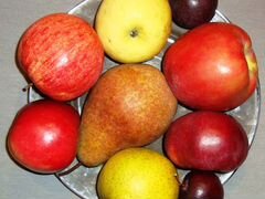 Яблони сортовые, 5-6 лет, плодоносящие