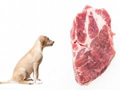 Мясо для собак и кошек