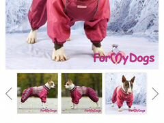 Зимний комбенизон фирмы ForMyDogs для собаки