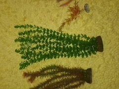 Искусственные растения для акариума