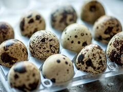 Инкубационное перепелиные яйца