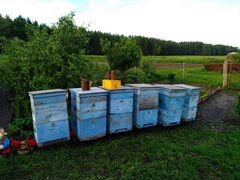 Ульи, инвентарь для пчеловодства