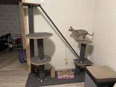 Игровой комплекс для кошки