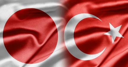 Турецкий и японский язык бесплатно