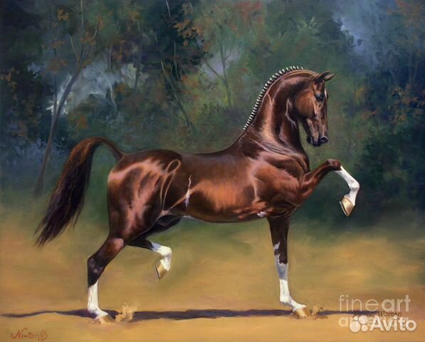 Конский навоз