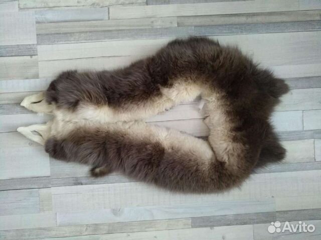 Воротник песец