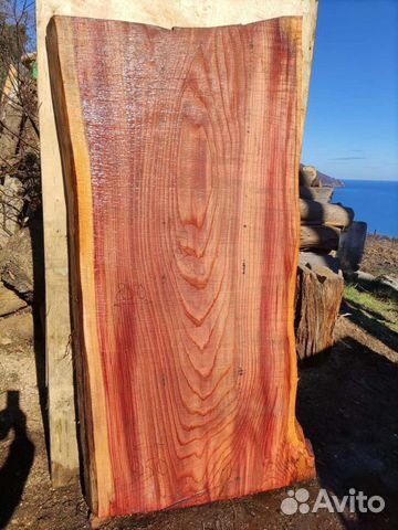 Слэб (спил) секвойя