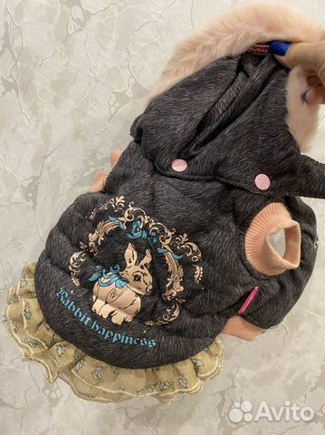 Одежда для собак мелких пород