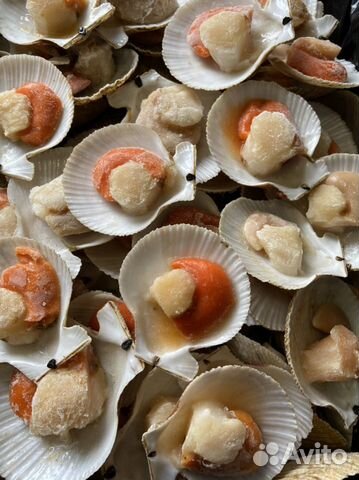 Морской гребешок на створке