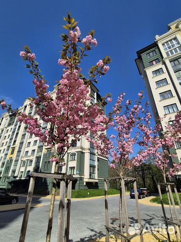 

1-к. квартира, 40 м², 2 кровати