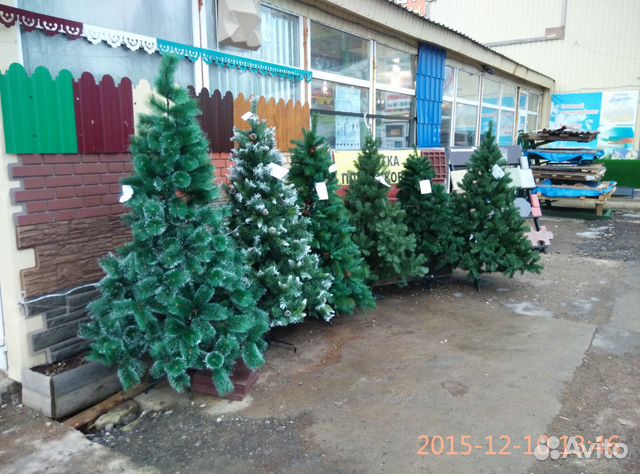 Куплю Новогодние Елки На Авито