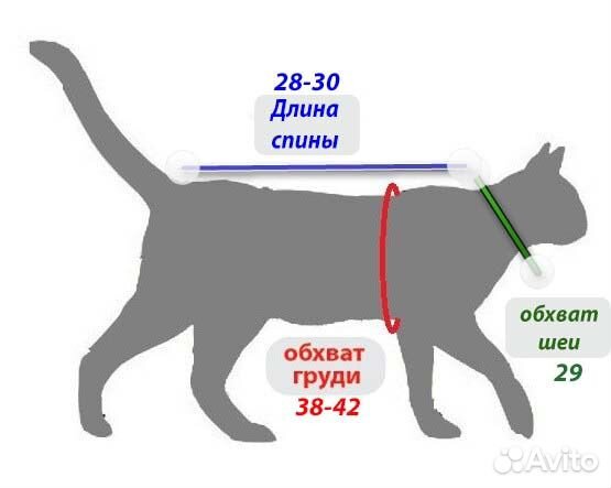 Размеры шлеек для кошек таблица с фото