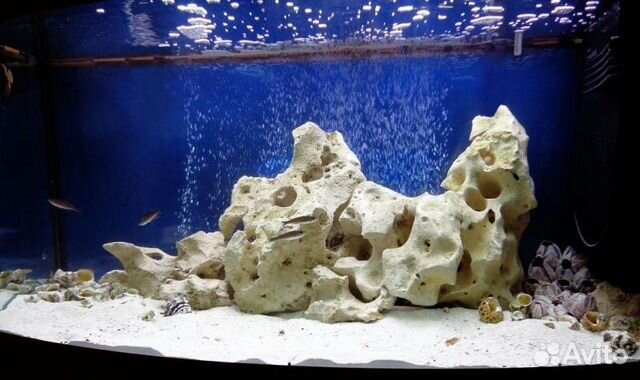 Натуральный камень для украшения аквариума купить на Зозу.ру - фотография № 4