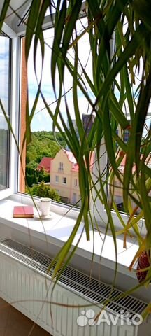 

2-к. квартира, 49 м², 2 кровати