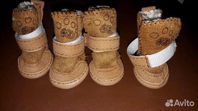 Ботинки, обувь для собаки