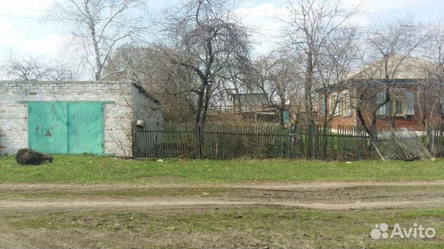 Погода в новоаннинском районе поселок амо. Поселок АМО Новоаннинский район Волгоградской области. Посёлок совхоза АМО. Совхоз АМО Новоаннинского района Волгоградской области. Новоаннинский район пос АМО.