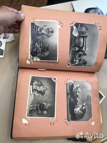 Фотокарточки прошлых лет Фотокарточки прошлых лет