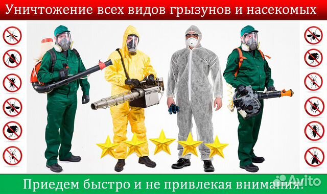 Уничтожение мышей, крыс, кротов. Дератизация