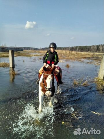 Лошадь пони класса купить на Зозу.ру - фотография № 3