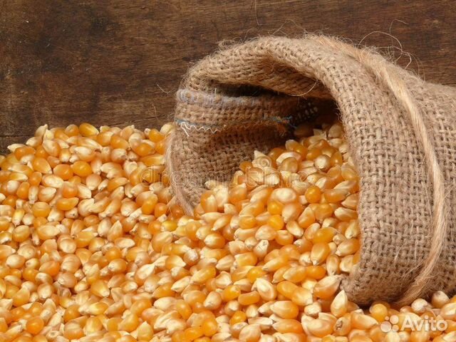 Кукуруза,кукуруза дробленная купить на Зозу.ру - фотография № 1