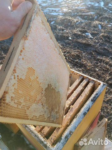 Кормовые рамки мед купить на Зозу.ру - фотография № 6