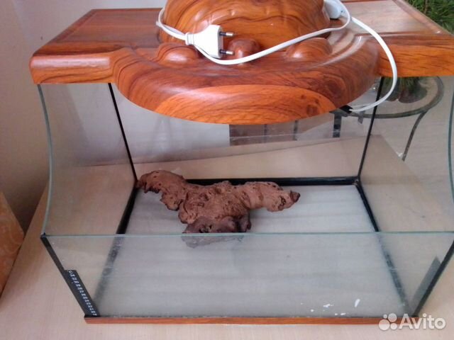 Черепашатник террариум аквариум Гесса (54см на 35